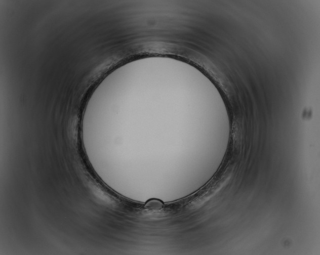 X0000101200445200807181539