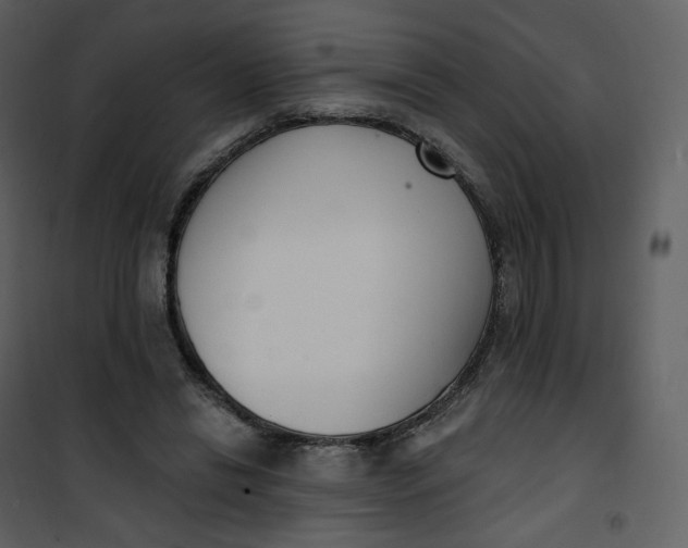 X0000101200446200807181539