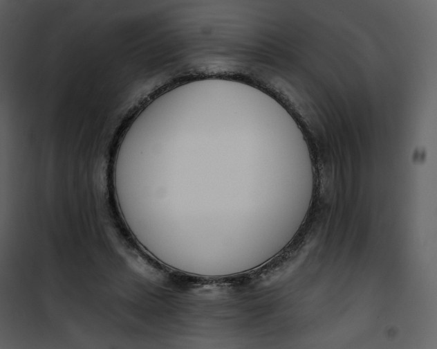 X0000101200447200807181539