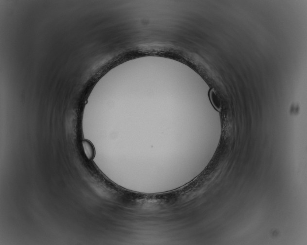 X0000101200448200807181539