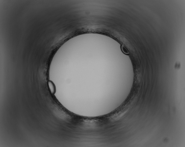 X0000101200450200807181539