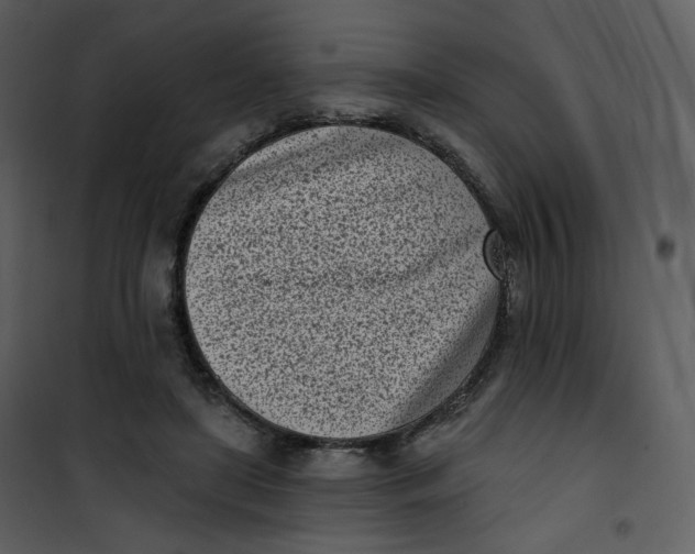 X0000101200451200807181539