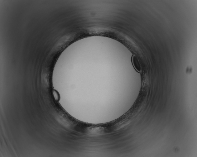 X0000101200452200807181539