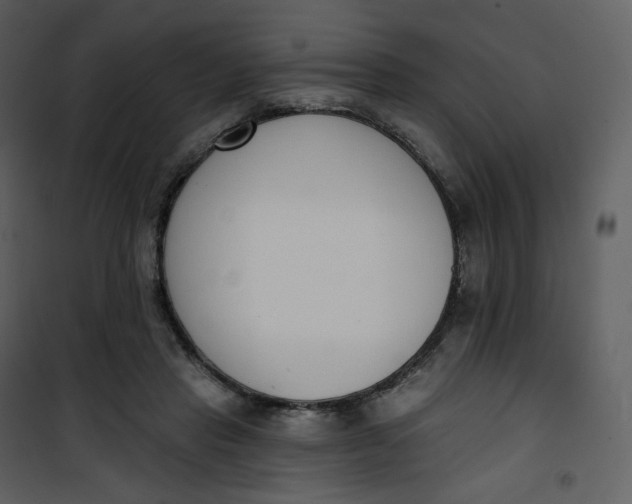 X0000101200453200807181539