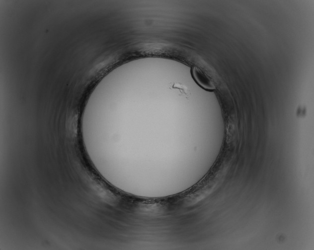 X0000101200454200807181539