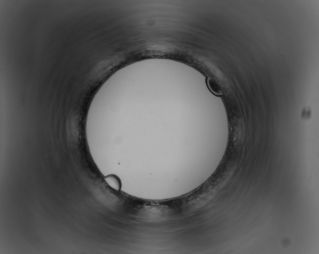 X0000101200455200807181539