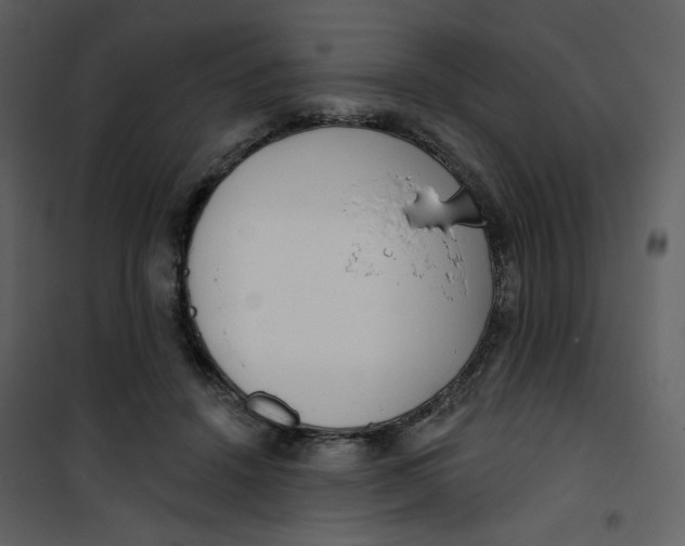 X0000101200456200807181539