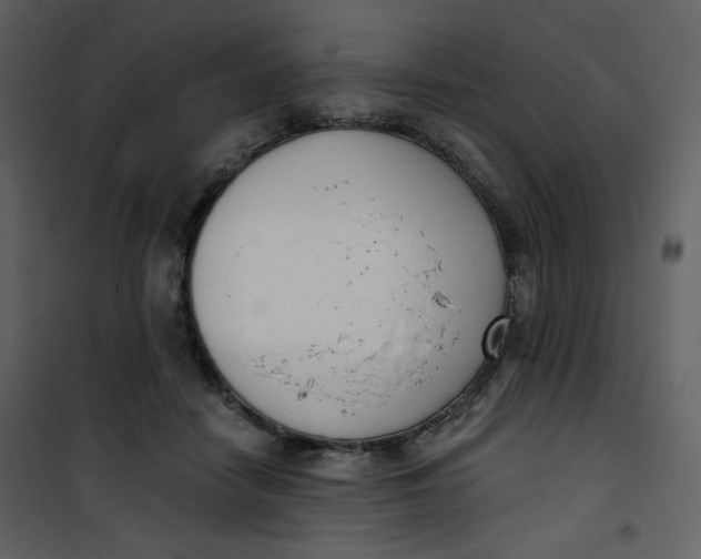 X0000101200458200807181539