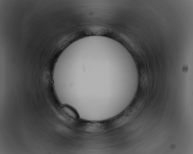 X0000101200459200807181539