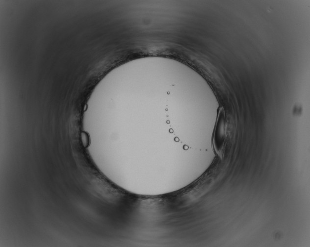 X0000101200461200807181539