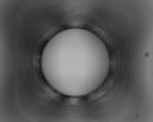 X0000101200462200807181539