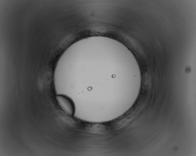 X0000101200463200807181539