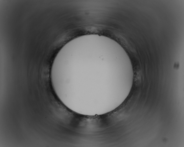 X0000101200466200807181539