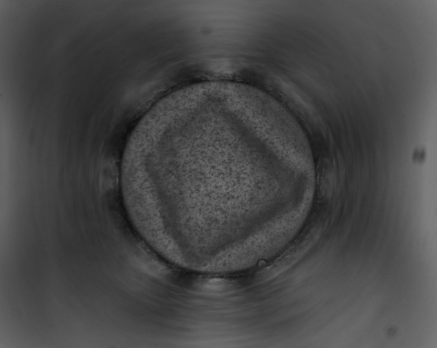 X0000101200467200807181539