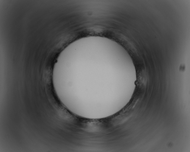 X0000101200468200807181539