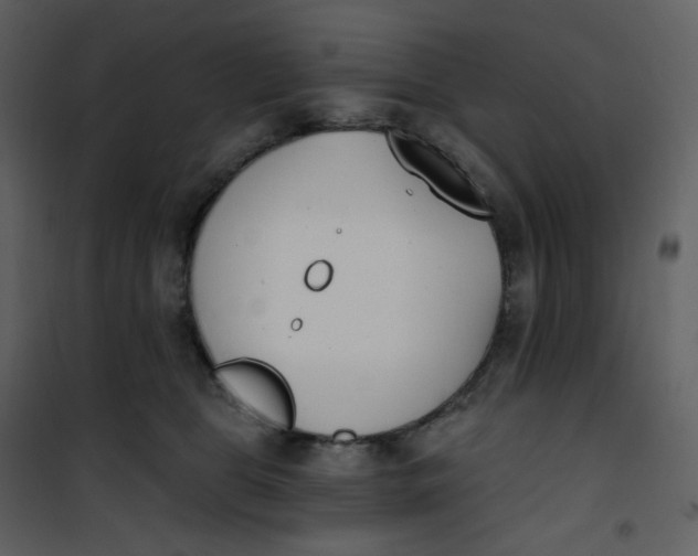 X0000101200469200807181539