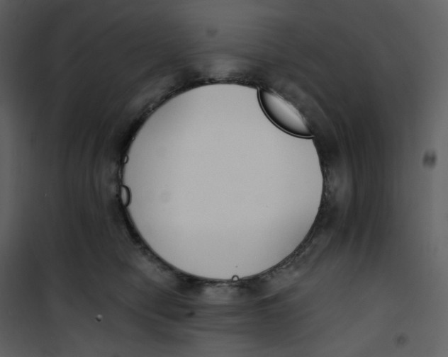 X0000101200470200807181539