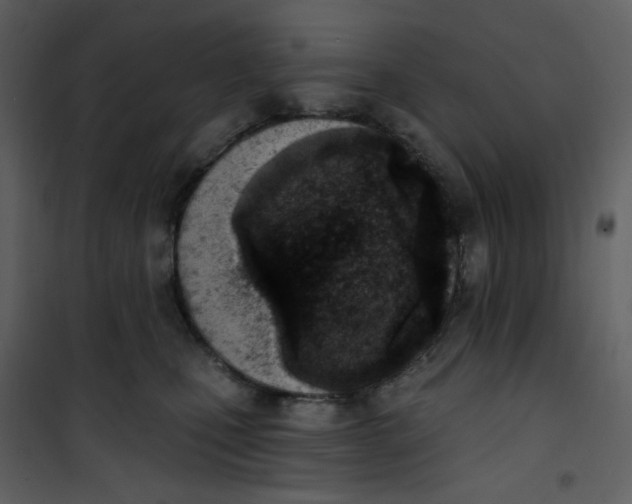 X0000101200471200807181539