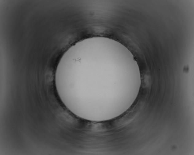 X0000101200472200807181539