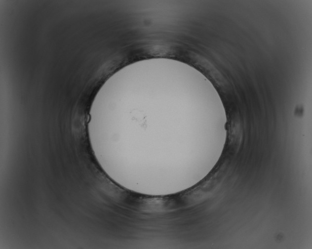 X0000101200473200807181539