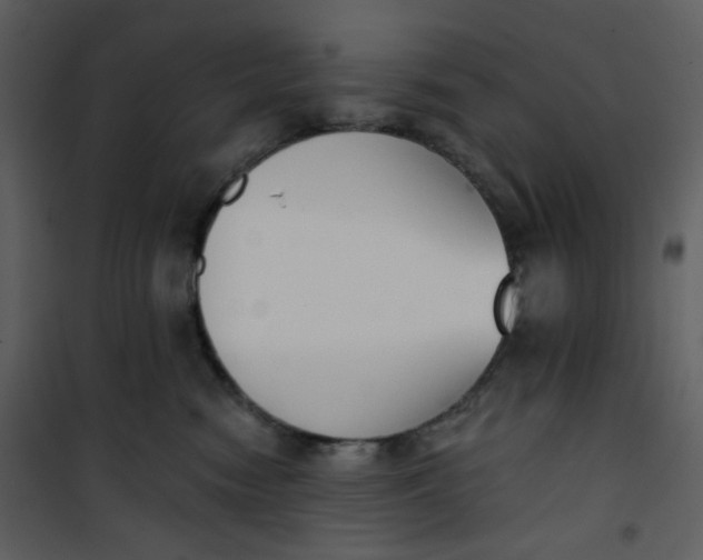 X0000101200474200807181539