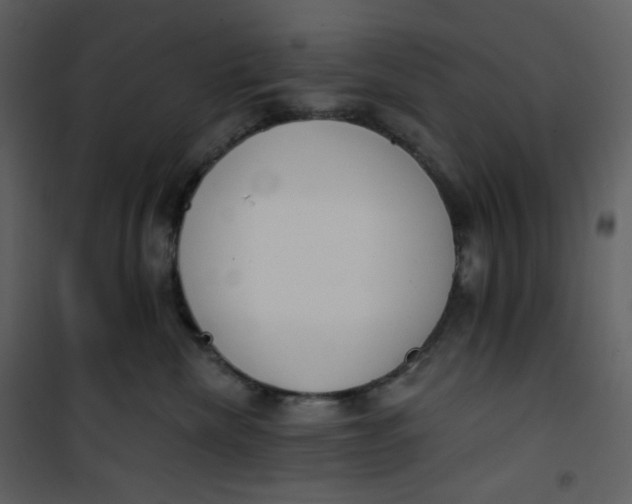 X0000101200476200807181539