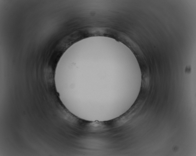 X0000101200477200807181539