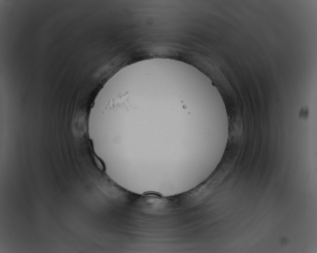 X0000101200478200807181539