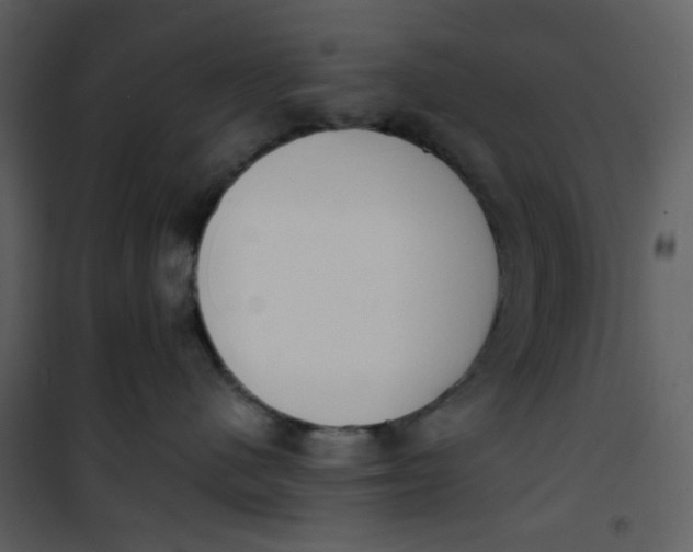 X0000101200480200807181539