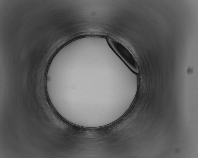 X0000101200481200807181539