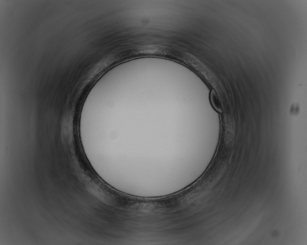 X0000101200482200807181539