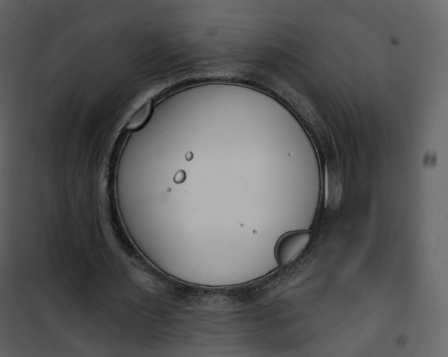 X0000101200483200807181539