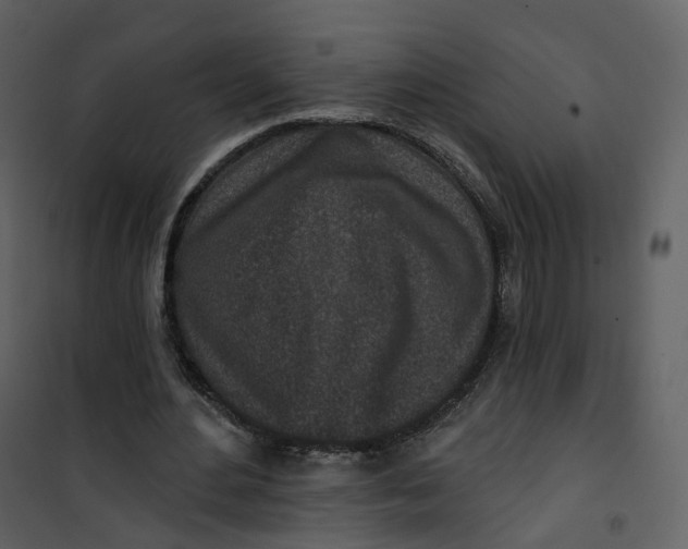 X0000101200484200807181538