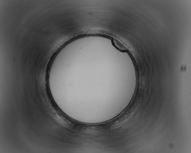 X0000101200485200807181538