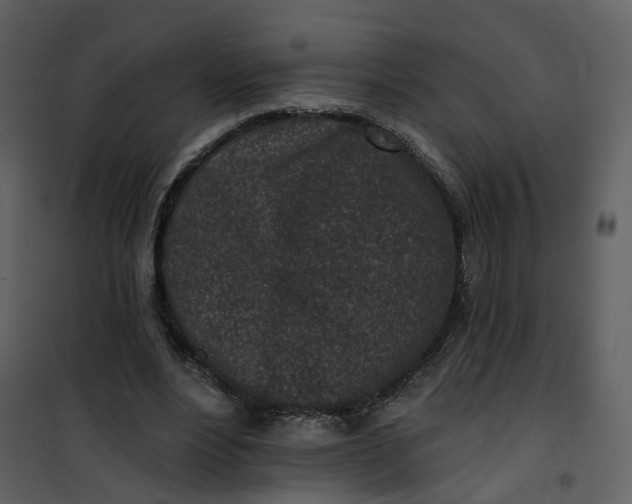 X0000101200488200807181538