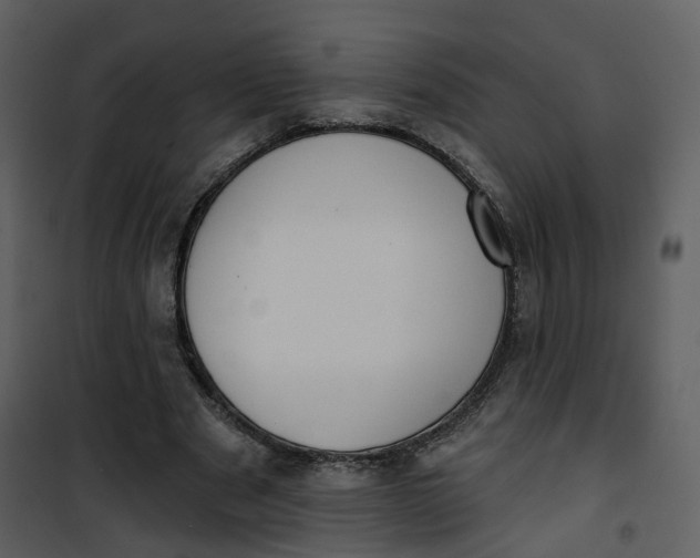 X0000101200489200807181538