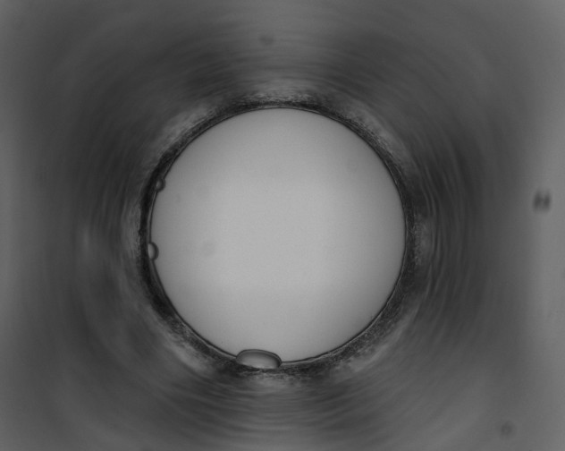 X0000101200490200807181538