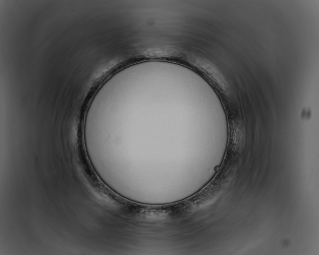 X0000101200491200807181538