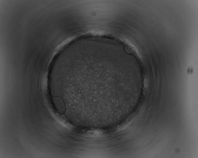 X0000101200492200807181538