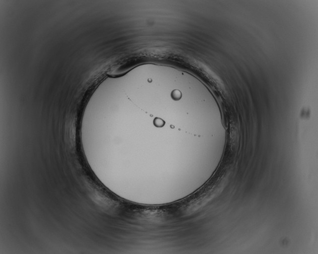 X0000101200493200807181538