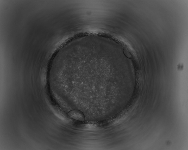 X0000101200496200807181538