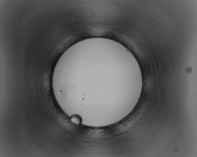 X0000101200497200807181538