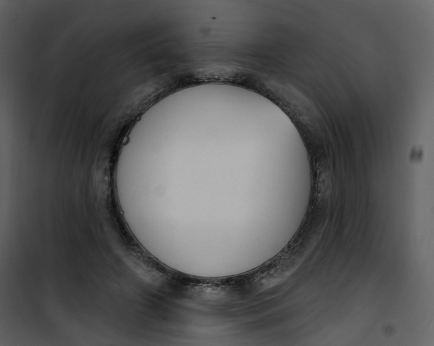 X0000101200498200807181538