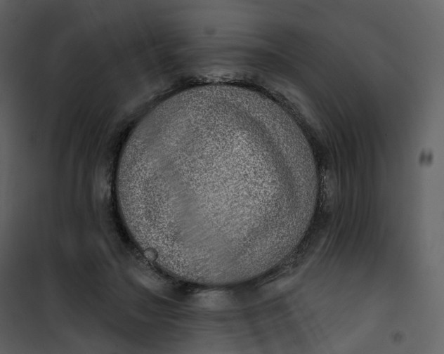 X0000101200499200807181538