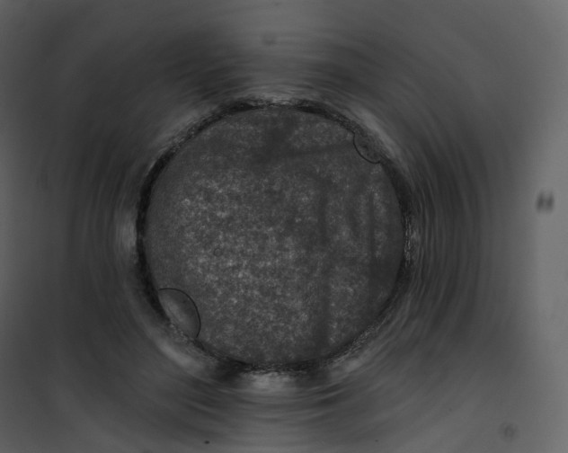 X0000101200500200807181538