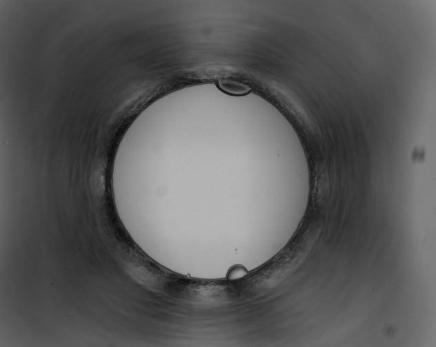 X0000101200501200807181538