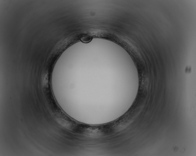 X0000101200502200807181538