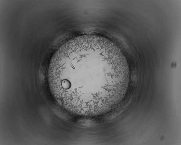 X0000101200503200807181538