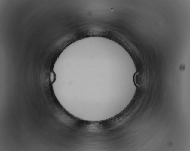 X0000101200505200807181538