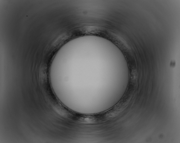 X0000101200506200807181538